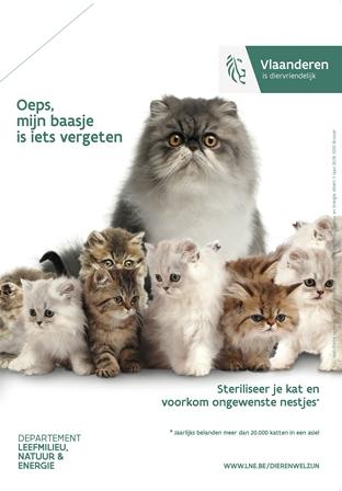 sterilisatieplicht katten