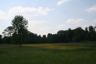 Hooiweide domein de Ghellinck