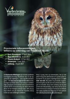 vogelbescherming vlaanderen